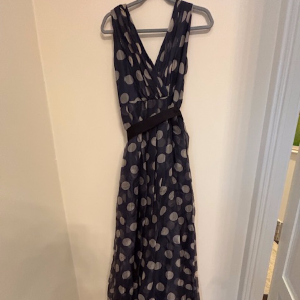 CH Carolina Herrera Navy silk organza gown with white polka dots